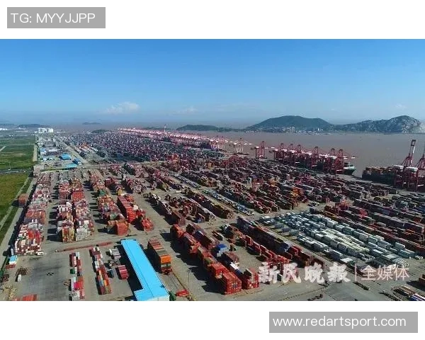 上海海港奋力打造国际一流现代化港口枢纽引领长三角高质量发展